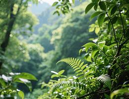 中山企业宣传片拍摄避坑指南及全流程解析/宣传片拍摄-企业宣传片拍摄-企业宣传片-三维动画制作-制作宣传片公司-影视公司