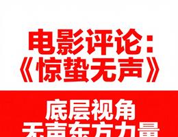 2025 新手摄影器材不踩雷指南：28 款热门机走心推荐/宣传片拍摄-企业宣传片拍摄-企业宣传片-三维动画制作-制作宣传片公司-影视公司